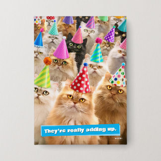 Cat Party