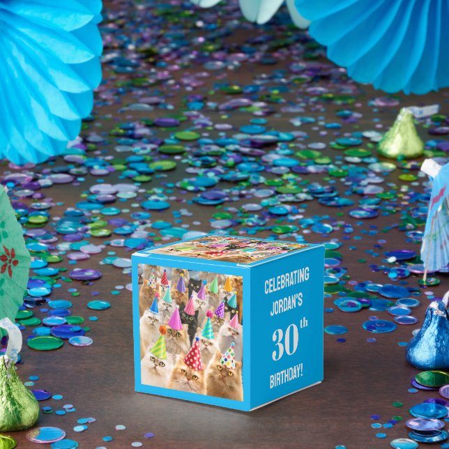 Cat Party Favour Box (Party)