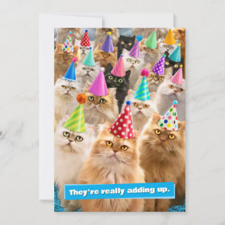 Cat Party Invitation
