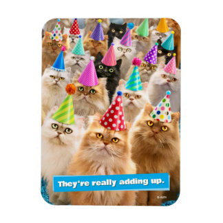 Cat Party Magnet