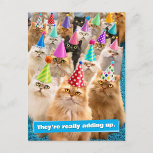 Cat Party Postcard