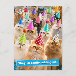 Cat Party Postcard