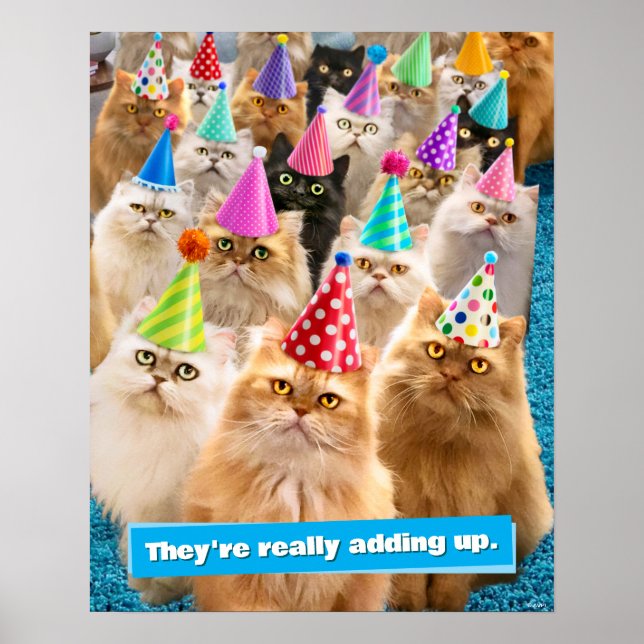 Cat Party Poster (Front)