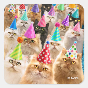 Cat Party Square Sticker