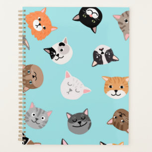 Cat pattern planner