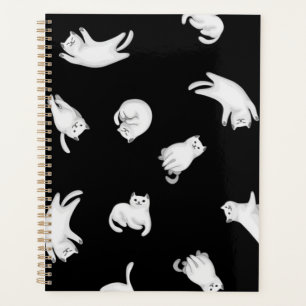 Cat pattern planner