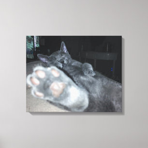 Cat Paw 20"x16" Stretched Canvas Print