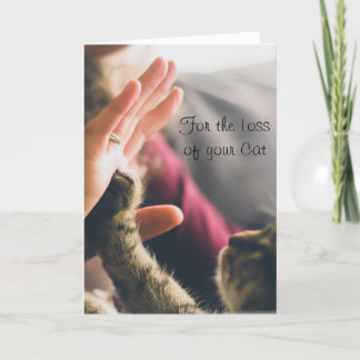 Cat Paw Giving High-five Card