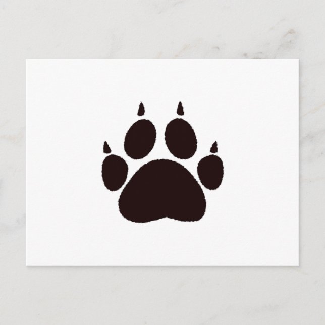 Cat Paw Prints Postcard (Front)