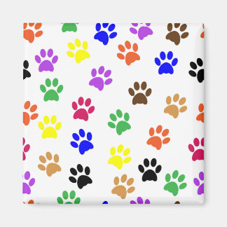 cat paws magnet