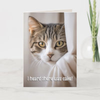 Cat Peeking Around Curtain Birthday Humour