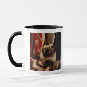 Cat peeking through quilt mug