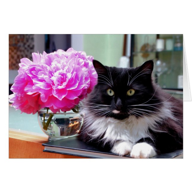 Cat & Peonies Card (Front Horizontal)