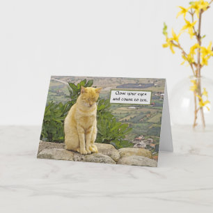 CAT PERCHED ON ROCK,  EYES CLOSED, HUMOR, FRIENDSH CARD