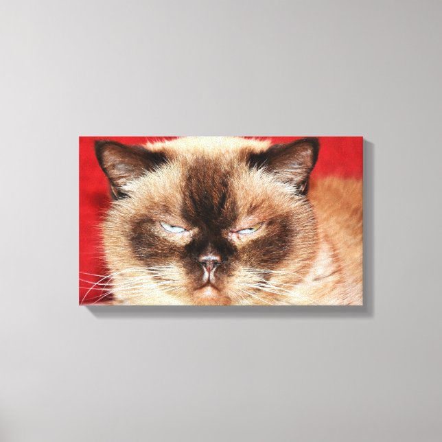 CAT PERSIAN SLEEEPY STRETCHED CANVAS PRINT (Front)