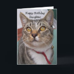 Cat Personalised Daughter Birthday Card<br><div class="desc">Greeting card tabby cat daughter birthday card. Customise this birthday card with any text then have it printed and sent to you or instantly download it to your mobile device. Should you require any help with customising then contact us through the link on this page. Cat personalised daughter birthday card...</div>