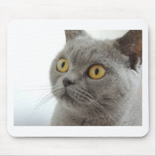 Cat Pet Animal Grumpy Frown Peace Love Destiny Mouse Pad