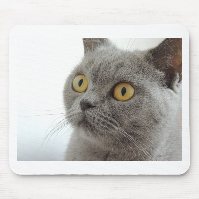 Cat Pet Animal Grumpy Frown Peace Love Destiny Mouse Pad (Front)