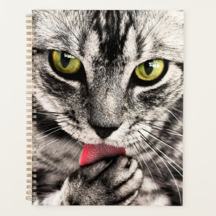 Cat Pet Animal Portrait-68667 Planner