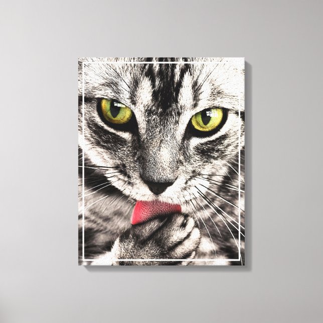 Cat Pet Animal Portrait Canvas Print (Front)