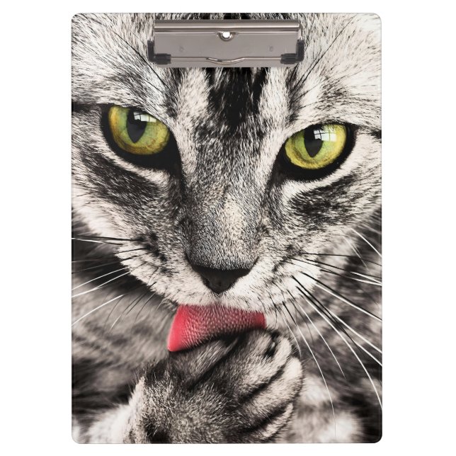 Cat Pet Animal Portrait Clipboard (Front)