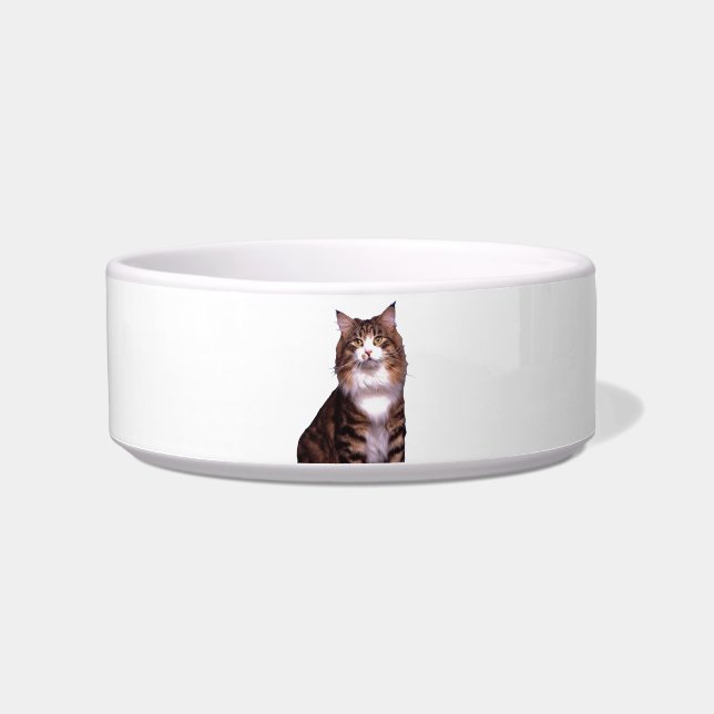 Cat Pet Bowl (Front)