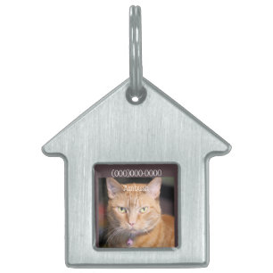 Cat pet ID tag