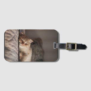 Cat, Pet, Kitten Luggage Tag
