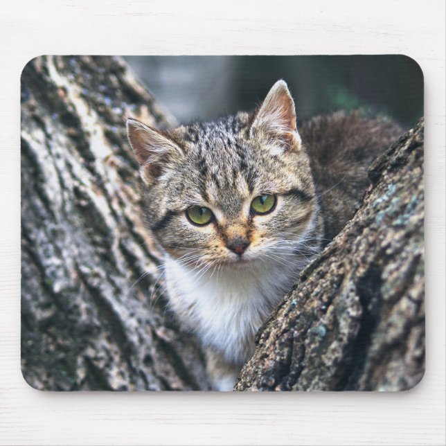 cat, pet, nature mouse pad (Front)
