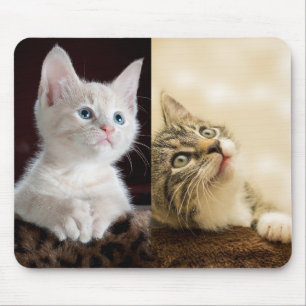 Cat Pet Photo Personalised Mouse Pad