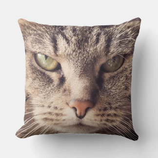 cat pet pillow custom