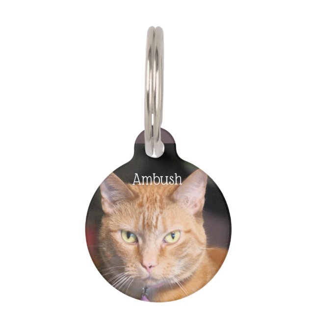 Cat       pet tag (Front)