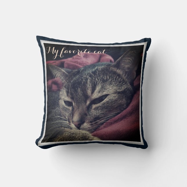 Cat photo, cat, Pets, funny cat Cushion (Front)