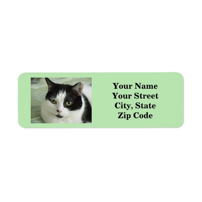 Cat Photo Green (Front)