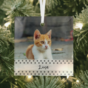 Cat Photo Holiday Keepsake for Pet Lovers Glass Tree Decoration