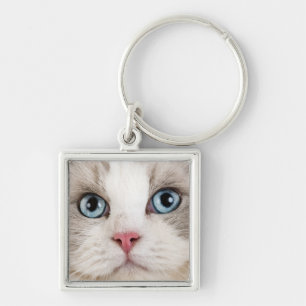 Cat Photo  Key Ring