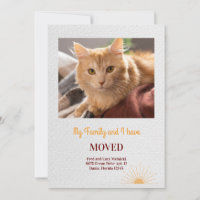 Cat Photo Moving Announcement