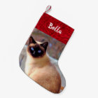 Cat Photo Pet Name Siamese Kitten