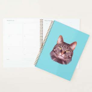 Cat Photo Portrait Planner