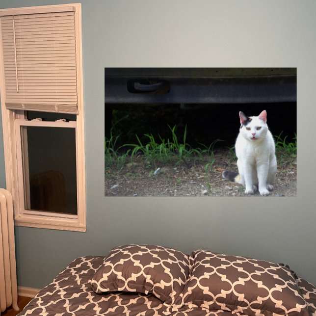 Cat Photo Poster (Creator Uploaded)
