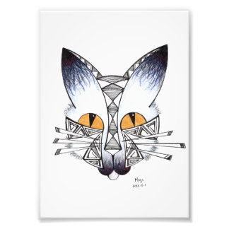 Cat Photo Print