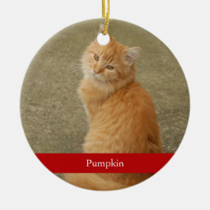 Cat Photo Red Name Cute Simple Christmas Ceramic Tree Decoration