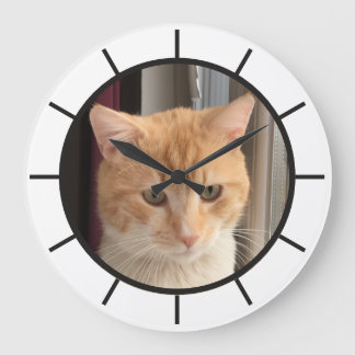 Cat Photo, replaceable, Funny Large Clock