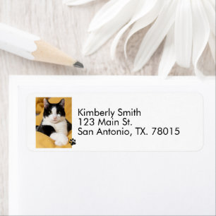  Cat Photo Return Address 