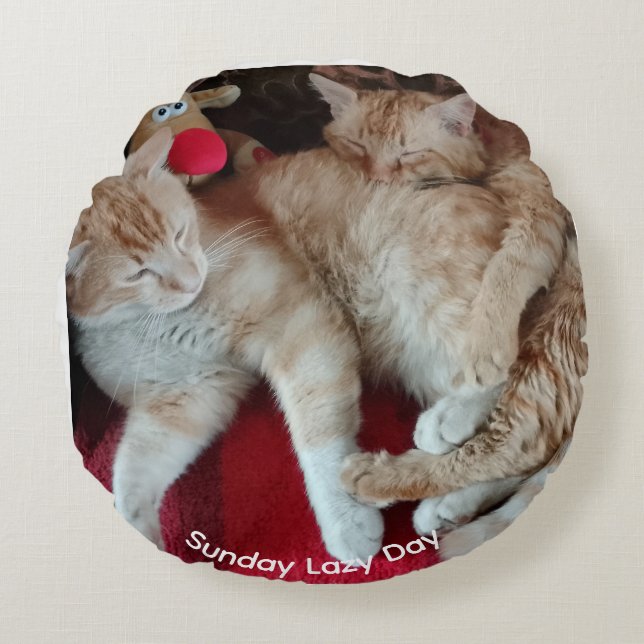 Cat photo Round Pillow (Front)