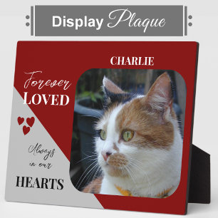 Cat Photo Sympathy Keepsake Pet Memorial burgundy Plaque