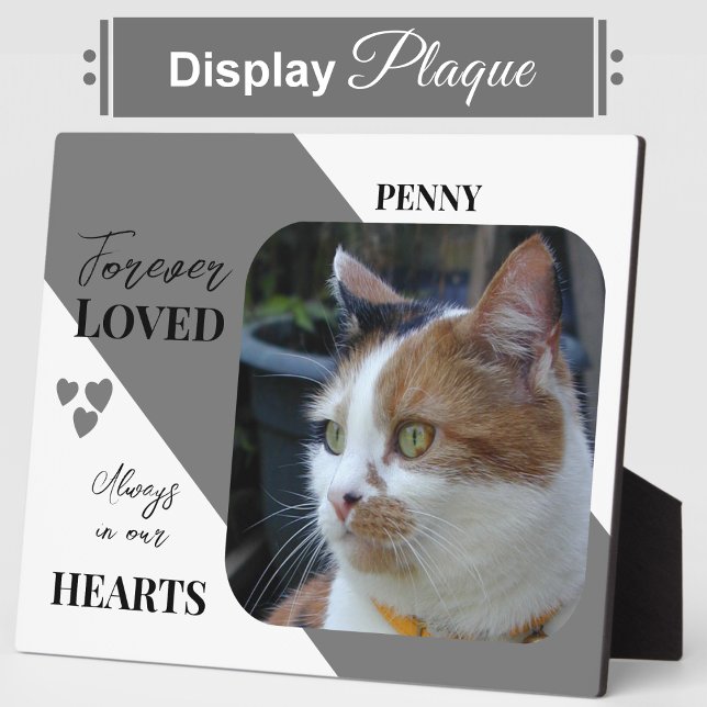 Cat Photo Sympathy Keepsake Pet Memorial grey Plaque (Creator Uploaded)