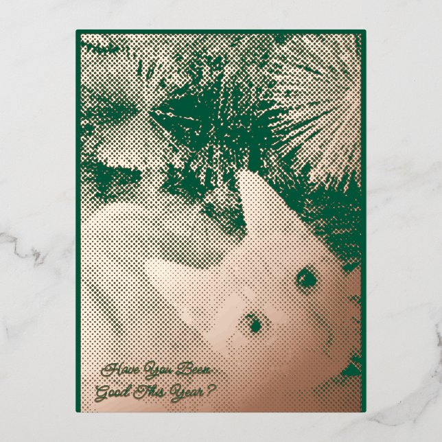 Cat Photo Text Christmas Folded Foil Greeting Card (Front)