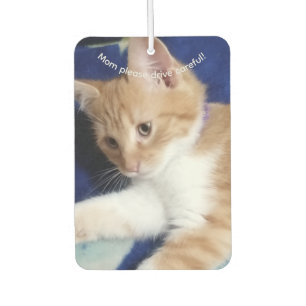 Cat Photo Text, Mom Drive Careful, Customize, Car Air Freshener