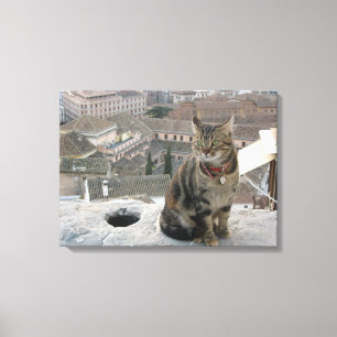 Cat photography Single Canvas Print